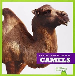 Camels