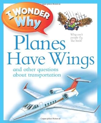 I Wonder Why Planes Have Wings: And Other Questions About Transportation
