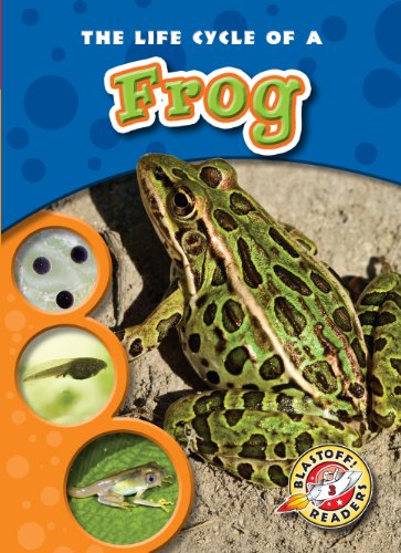 The Life Cycle of a Frog by Colleen Sexton