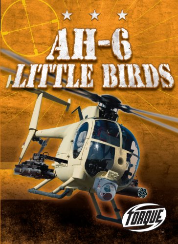 AH-6 Little Birds by Carlos Alvarez