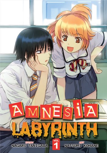 Amnesia Labyrinth, Vol. 1 by Nagaru Tanigawa