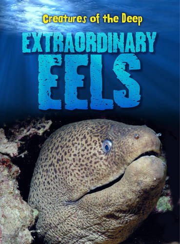 Extraordinary Eels by Casey Rand