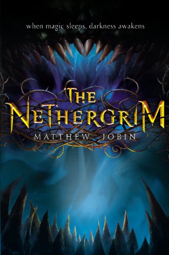 The Nethergrim by Django Wexler