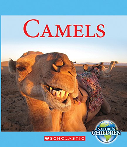 Camels by Jennifer Zeiger