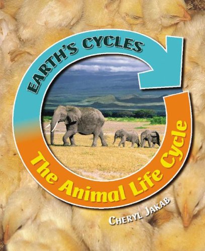 The Animal Life Cycle by Cheryl Jakab