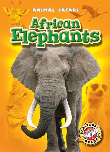African Elephants by Kari Schuetz