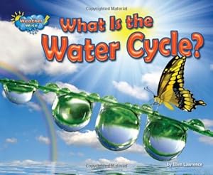 What Is the Water Cycle?