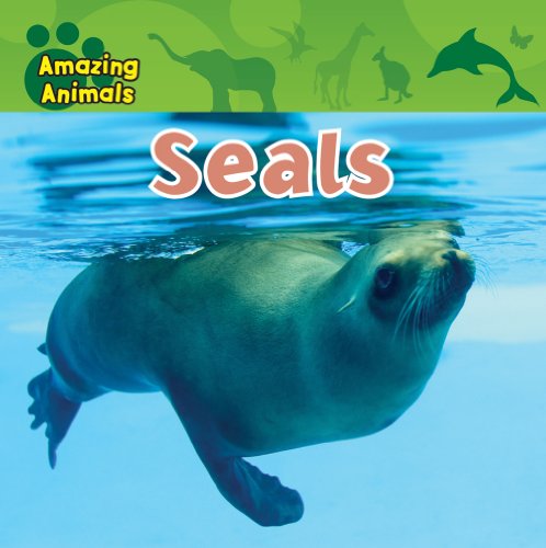 Seals by Christina Wilsdon