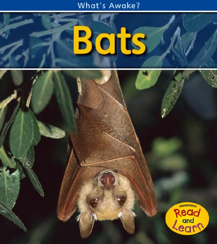 Bats by Patricia Whitehouse