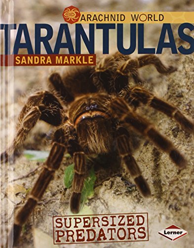 Tarantulas: Supersized Predators by Sandra Markle