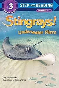 Stingrays! Underwater Fliers