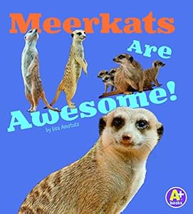 Meerkats Are Awesome!