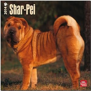 Shar-Pei Training | Think Like a Dog, But Don't Eat Your Poop! |: Here's Exactly How To Train Your Shar-Pei by by Paul Allen (Pearce Shar Pei Puppy Training) and Paul Allen Pearce Shar Pei Puppy Training
