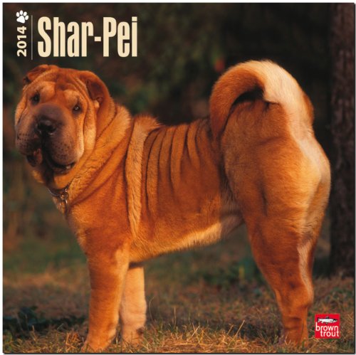 Shar-Pei Training | Think Like a Dog, But Don't Eat Your Poop! |: Here's Exactly How To Train Your Shar-Pei by by Paul Allen (Pearce Shar Pei Puppy Training) and Paul Allen Pearce Shar Pei Puppy Training