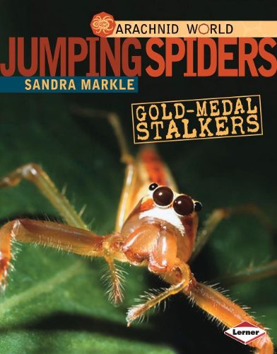 Jumping Spiders: Gold-Medal Stalkers by Sandra Markle
