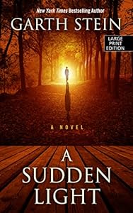 A Sudden Light