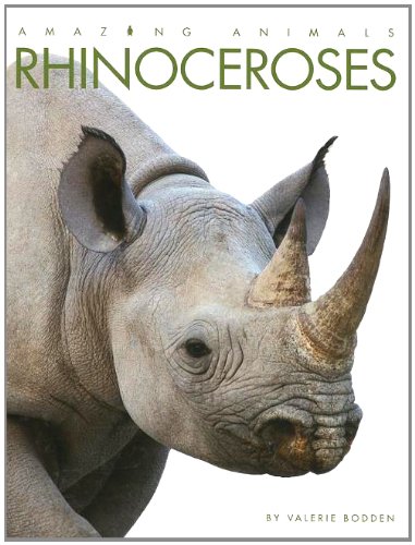 Rhinoceroses by Valerie Bodden