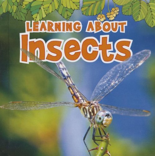 Learning About Insects by Catherine Veitch