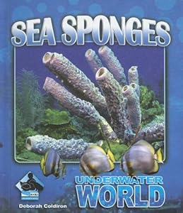 Sea Sponges (Underwater World)