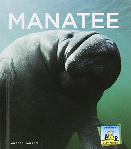 Manatee by Anders Hanson