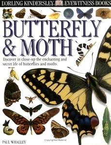 Eyewitness: Butterfly & Moth (Eyewitness Books)