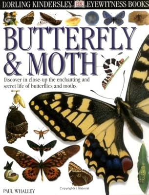 Eyewitness: Butterfly & Moth (Eyewitness Books)