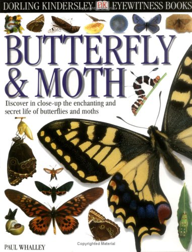 Eyewitness: Butterfly & Moth (Eyewitness Books) by DK Publishing