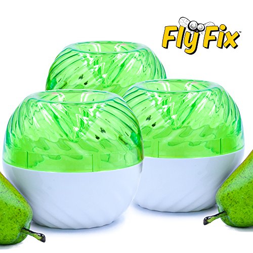 FlyFix Fruit Fly Trap (Reusable) (3, Green/White)