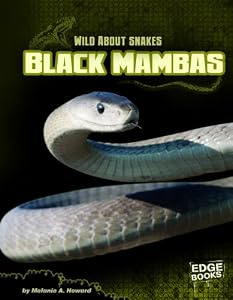Black Mambas