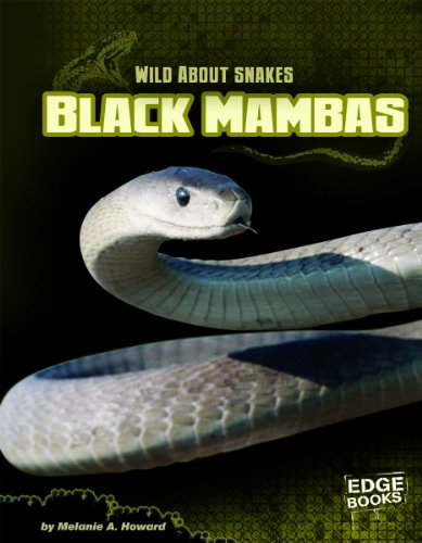 Black Mambas by Melanie A. Howard