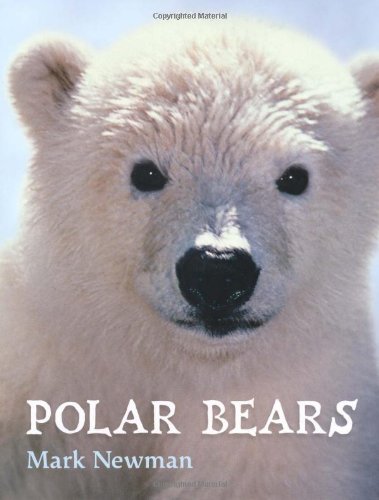 Polar Bears by Mark Newman