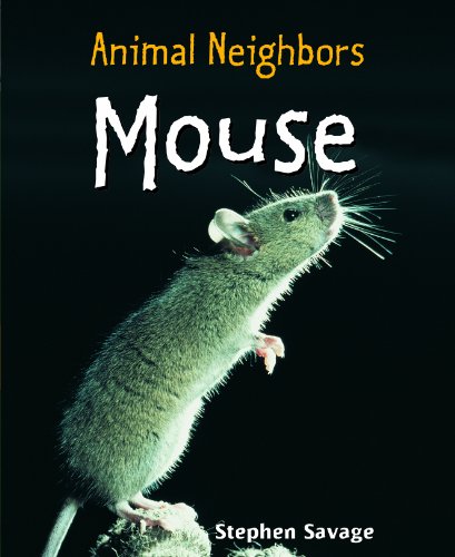 Mouse by Stephen Savage