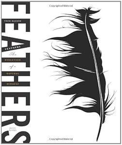 Feathers: The Evolution of a Natural Miracle