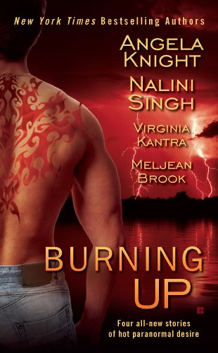 Burning Up by Maggie Shayne