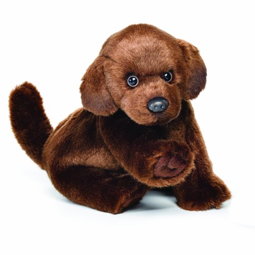 Nat and Jules Plush Toy, Chocolate Labrador, Small