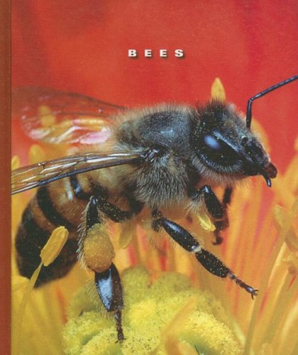 Bees (World of Insects) by Sophie Lockwood
