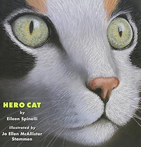 Hero Cat