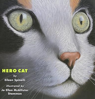 Hero Cat