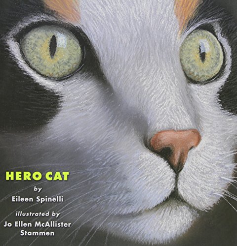 Hero Cat by Eileen Spinelli