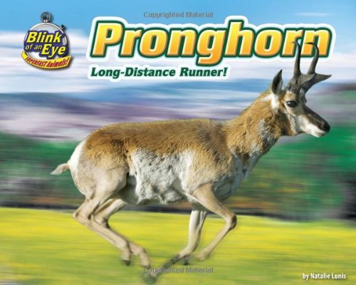 Pronghorn: Long-Distance Runner! by Natalie Lunis