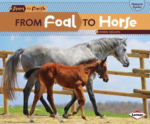 From Foal to Horse by Robin Nelson