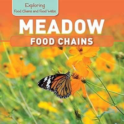 Meadow Food Chains