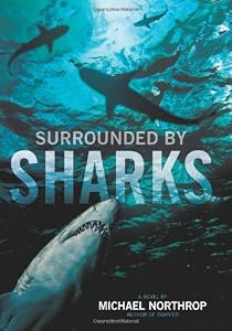 Surrounded by sharks
