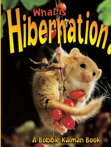 What Is Hibernation? (Turtleback School & Library Binding Edition) (Bobbie Kalman Books) by Bobbie Kalman