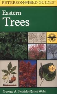 A Field Guide to Eastern Trees: Eastern United States and Canada, Including the Midwest