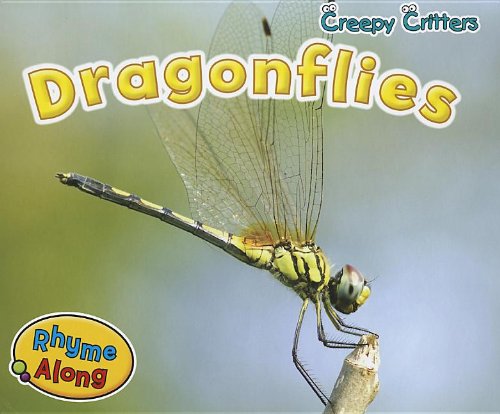 Dragonflies by Rebecca Rissman