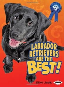 Labrador Retrievers Are the Best!