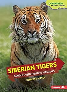 Siberian Tigers: Camouflaged Hunting Mammals