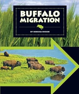 Buffalo Migration