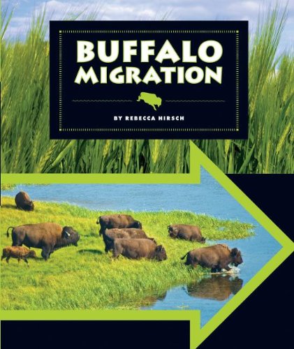 Buffalo Migration by Rebecca Hirsch